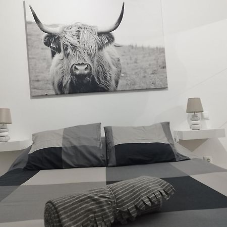 Apartamento Vista Casablanca Puerto de la Cruz  Esterno foto